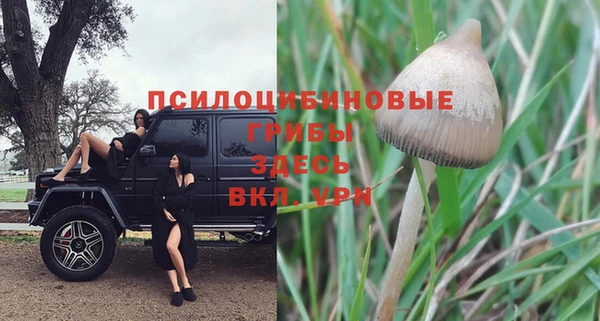 гашик Абаза