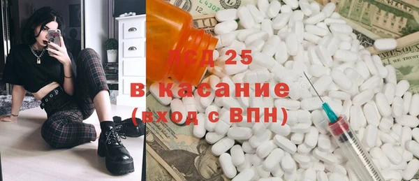 шишки Гусь-Хрустальный